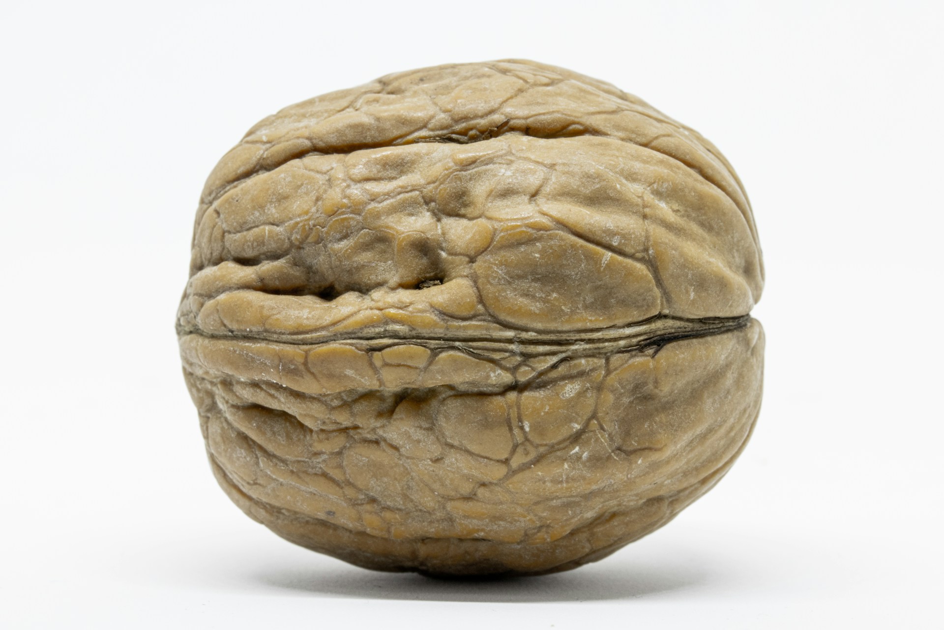 Czym jest „Brain rot”? – Wpływ nadmiernego korzystania z mediów cyfrowych na funkcje poznawcze 1 haci elmas 2MTp 6anJMg unsplash